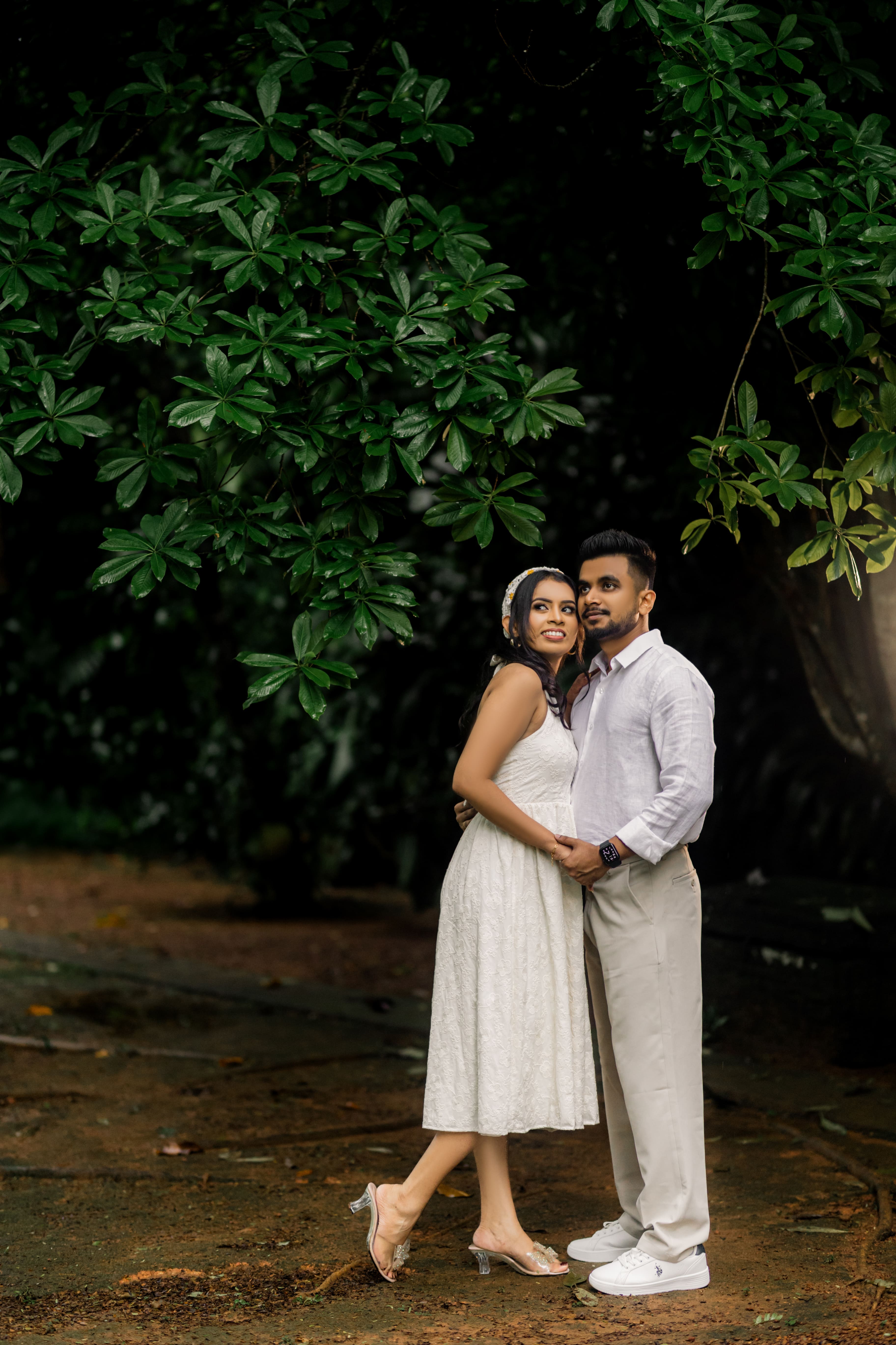 Under the rain tree